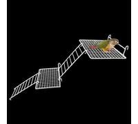 4Pcs Metal Bird Perches Platform, Grid Bird Perches for Cage, Parakeets Training Stand with Climbing Ladder for Parrot Budgies and Small Birds