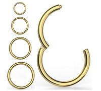 4PCS Nose Rings Hoop Earrings,Kucheed 316L Surgical Steel Hinged Clicker Segment Septum Ring Helix Cartilage Nose Lip Rings Body Piercing Jewelry,18G-16G 6/8/10/12mm Nose Hoops for Women Men