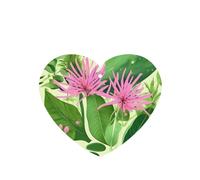 4pcs Pink Plant Flowers Car Aroma Diffuser Heart Shape Hanging Fragrance Tablet Car Interior Decoration Closet Shoe Closet Fragrance Freshener
