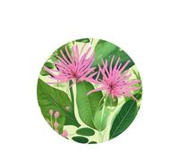 4pcs Pink Plant Flowers Car Aroma Diffuser Round Shape Hanging Fragrance Tablet Car Interior Decoration Closet Shoe Closet Fragrance Freshener