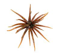 4pcs/Set Lure Floating Sea Urchin Soft Bait Anti Bite Realistic Floating TPR Sea Urchin Spiky Ball for Bass Fishing Drop Saltwater Fishing Gear