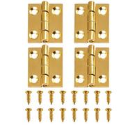 4PCS Small Brass Hinges for Wood - 25 x 20mm Mini Cabinet Hinges with 16 Screws - for Wooden Boxes, Jewellery Boxes & Small Wood Projects (Gold)