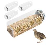 4PCS Transparent Quail Feeder, Chick Feed Box With 4 Bear-Shaped Holes, No-Waste Chicken Feeder, Ideal for Small Birds, Rutin & Poultry Feeding