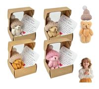 4PCS Worry Bear in A Box, Little Pocket Bear Hug in A Box with Inspirational Cards, Mini Plush Teddybear, Emotional Support Gift, Birthday for Kids Women