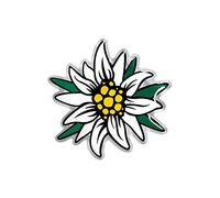 4R Quattroerre.it 14170 3D Sticker Edelweiss HQ, 54 x 53 mm