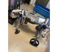 4Wheel Dog Mobility CartLightweight Canine Walker for Disabled DogsSupport for Injured Dogs with Rear/Front Leg Mobility (Blue Size S)