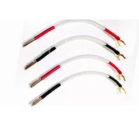 QED-Silver Anniversary XT Speaker Cable, 1m