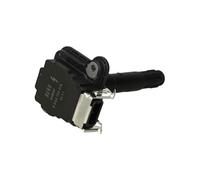 4x ✅Fits BORGWARNER (BERU) ZS 016 Ignition Coil ZS 016 Ignition coil ⭐UK Seller⭐
