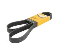 4x ✅Fits CONTITECH 8 PK 1500 V-ribbed Belt 8 PK 1500 Multi-V-belt (8 ⭐UK Seller⭐