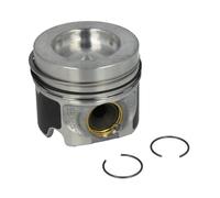 4x ✅Fits KOLBENSCHMIDT 40 558 600 Piston 40 558 600 Piston 81,01 (ST ⭐UK Seller⭐