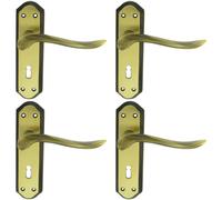 4x PAIR Curved Handle on Sculpted Lock Backplate 180 x 48mm Florentine Bronze Loops Multi One Size