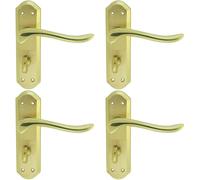 4x PAIR Curved Lever on Sculpted Bathroom Backplate 180 x 48mm Dual Brass Loops Metallics One Size