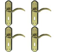 Loops 4x PAIR Spiral Sculpted Handle on Lock Backplate 180 x 48mm Florentine Bronze Loops Multicolor