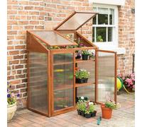 4x2 Rowlinson Hardwood Mini Greenhouse