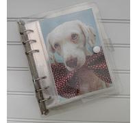 4x6 Photo Sleeve Clear Album - 6 Ring Glitter Notebook Sparkle Binder With 10 4 by 6 Photo Sleeves - Fits 20 4x6 Photos - Add More Photos With Extra Pockets, Refillable Folder With Clear Sleeves