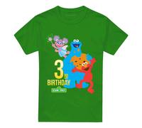 (4XL, Kelly Green) Sesame Street Unisex Adult 3rd Birthday T-Shirt