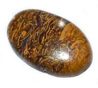 5.00 Carat Natural Mariyam Fossil Healing Gemstone Mineral Mariyam Gemstone Cabochon Untreated Stone-B0C624PF-D1