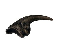 5.1 inches Nanotyrannus Dinosaur Life Size Foot Claw Fossil Replica
