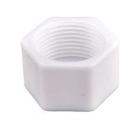 5~10 Pcs PPR 1/2" 3/4" 1" Female Thread Pipe Hexagon Shaped Blocked Caps Plastic End Cap Plug PVC Tube Sealing Fittings(1I2 inch,5pcs)