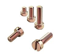 5-100pcs M3 M4 M5 M6 M8 M10 Colored Zinc Plated Slotted Cylindrical Head Screws Flat Round Bolts(20mm,M10 (5PCS))