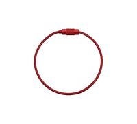 5/10Pcs 100mm Stainless Steel Wire Key Lock up Lock up Rope Cable Lock up Outdoor Luggage Tag Screw Lock Small Accessories (Color : 1, Size : 100mm)(Red)