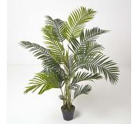 (5.2 Ft (160 cm)) Areca Palm Tree in Pot