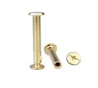 5-20pcs Chicago Screws M5x6-30mm Steel Rivet Books Butt Screw Photo Album Binding Post (Color : Stain Steel Size M5x30mm(20Pcs))(Brass Plated,M5x30mm(10Pcs))
