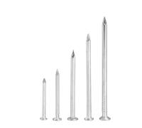 5-300pcs 304 Stainless Steel Nails For Woodworking Round Cement Wall Lengthened Small Concrete 0.5 Inch-6. Inch(0.5 Inch (300pcs))