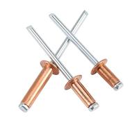 5-30pcs Brass Dome Head Blind Rivets M2.4 M3.2 M4 M4.8 Pop Open End Mandrel Break Pull Nail for DIY Craft and Hardware Use(M4x11mm(10Pcs))