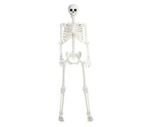 5.4Ft/165cm Halloween Skeleton Full Body Life Size Human Bones With Movable Joints for Indoor Outdoor Props Decorations, Posable Adult Skeletons for Decoration White