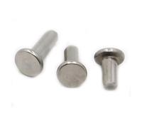 5-50pcs 304 A2-70 Stainless Steel GB109 Flat Round Head Solid Rivet M2 .5 M3 M4 M5 M6 Self Plugging Knock-on Nail Bolts lingli(M3 20pcs,5mm)