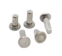 5-50pcs GB109 M2 M2.5 M3 M4 M5 M6 A2-70 304 Stainless Steel Flat Round Head Solid Rivet Self Plugging Knock-on Rivet Nail Bolts(M2.5 50pcs,5mm)