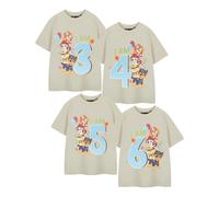 Paw Patrol Boys I Am 4 Short-Sleeved Birthday T-Shirt NS8854