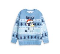 Bluey Boys Light Blue Christmas Jumper | Fair Isle Pattern Long Sleeve Crew Neck | Winter Wear Character | Festive Cartoon Knitwear for Kids Merch - 5-6 Years