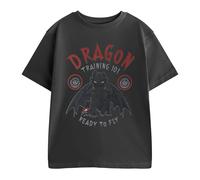 (5-6 Years, Grey) How To Train Your Dragon Boys Training 101 Short-Sleeved T-Shirt