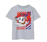(5-6 Years, Grey Marl) Paw Patrol Boys Marshall T-Shirt