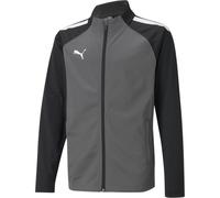 (5-6 Years, Grey) Puma Childrens/Kids Team Liga Training Tracksuit Top
