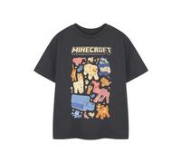 (5-6 Years) Minecraft Short Sleeved T-Shirt (Girls Grey)