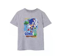 (5-6 Years) Sonic the Hedgehog Short Sleeved T-Shirt (Unisex Kids Grey)