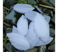 5-8cm Floating Head Feathers Natural Goose Feather DIY Jewelry Pendant Dyed 25 Colors Plumes Craft Decoration Material 50pcs/lot-White-100pcs