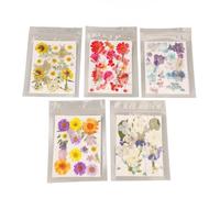 5 Bags Assorted Styles Pressed Flowers, Vibrant Rich Details Colorful Dried Flowers for DIY Mold Bookmark Resin Crafts Candle Making Bulk Supplies (Type 1)