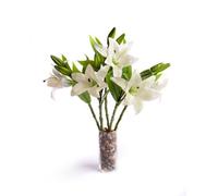 5 Best Artificial 35Cm Ivory Tiger Lillies