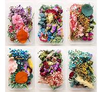 5 Boxes Natural Dried Flowers Real Mixed Pressed Flowers DIY Arrangement for Art Craft Soap Making Epoxy Resin Candle Scrapbooking Random Color