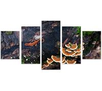 5 Canvas Paintings 5 Pieces Posters Tree Animals Wall Art Picture Home Decoration Canva Print Painting Printed On Canvas/Without Frame 150 X 80 Cm For Living Room Hotel Restaurant Office-8385237680