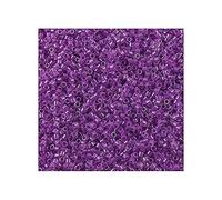 5 g Miyuki Delica Rocailles Seed Beads 11/0 (1.6 mm), Inside Dyed Lilac Dark AB