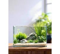 5 Gallon Ultra Clear Glass Fish Tank, Easy to Maintain Small Aquarium for Betta, Goldfish, Shrimp, Snails and Aquatic Plants