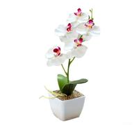 5 Head Artificial Phalaenopsis Flower in a Stylish Pot for All Occasions (white)