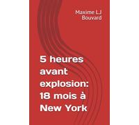 5 heures avant explosion: 18 mois à New York (Les enquêtes de Police de Louis Springwinter)