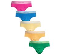 5 Icon Hip Briefs Golden Haze/Mardi Gras Green/Palace/Blue/Pink L