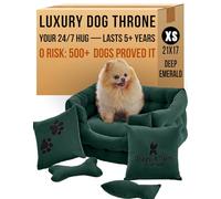 Luxury Handcrafted 5-in-1 Dog and Cat Bed Set | 3X More Durable Washable Elevated Puppy and Kitty Couch with 2 Cushions & 2 Toys - Super Soft Dutch Velvet, Size (21in-17in-10in)
